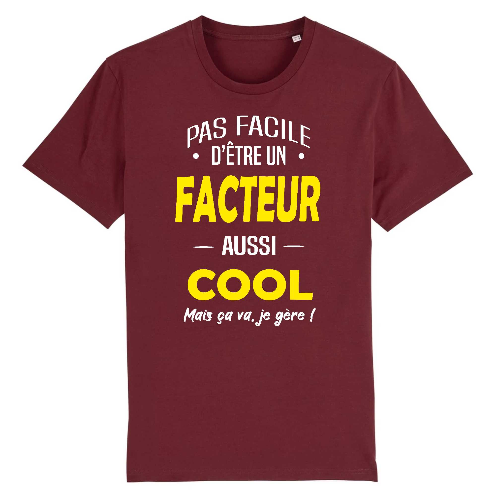 T-shirt Homme Un facteur aussi cool