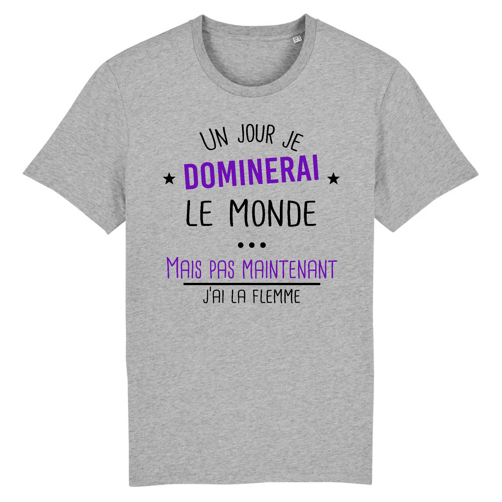 T-shirt Homme Un jour je dominerai le monde 2