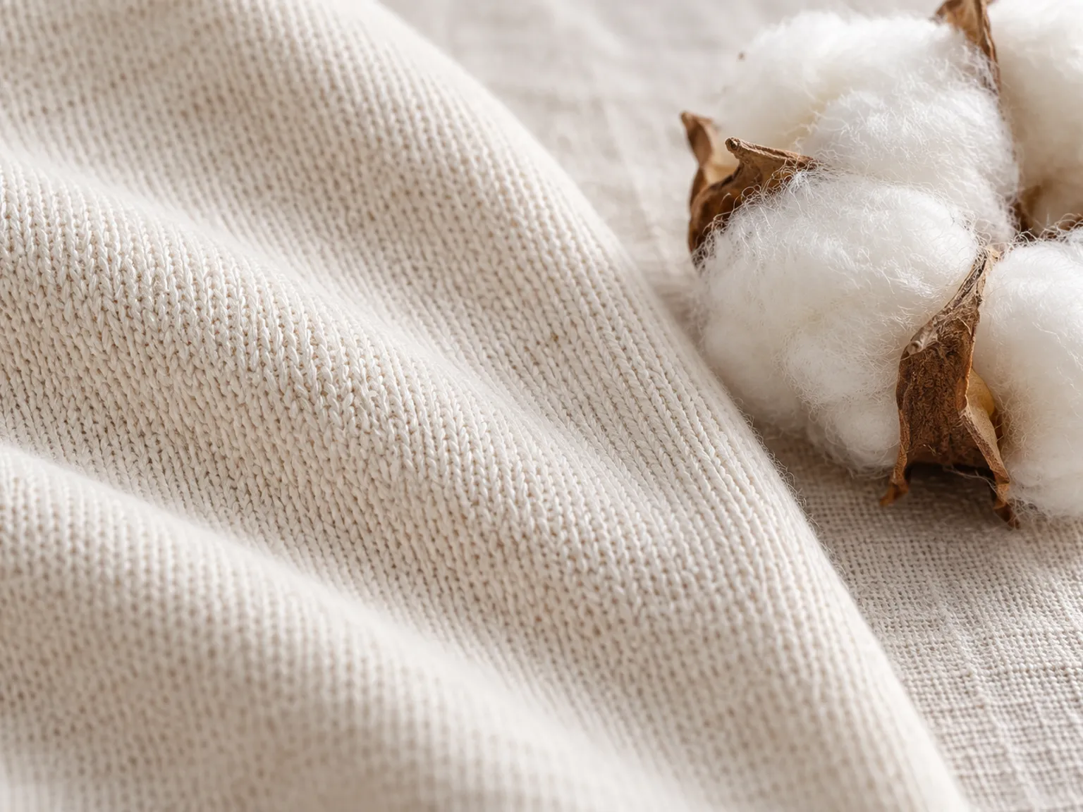Gros plan sur la maille souple d'un tissu en coton bio écru posé à côté d'une fleur de coton brut
